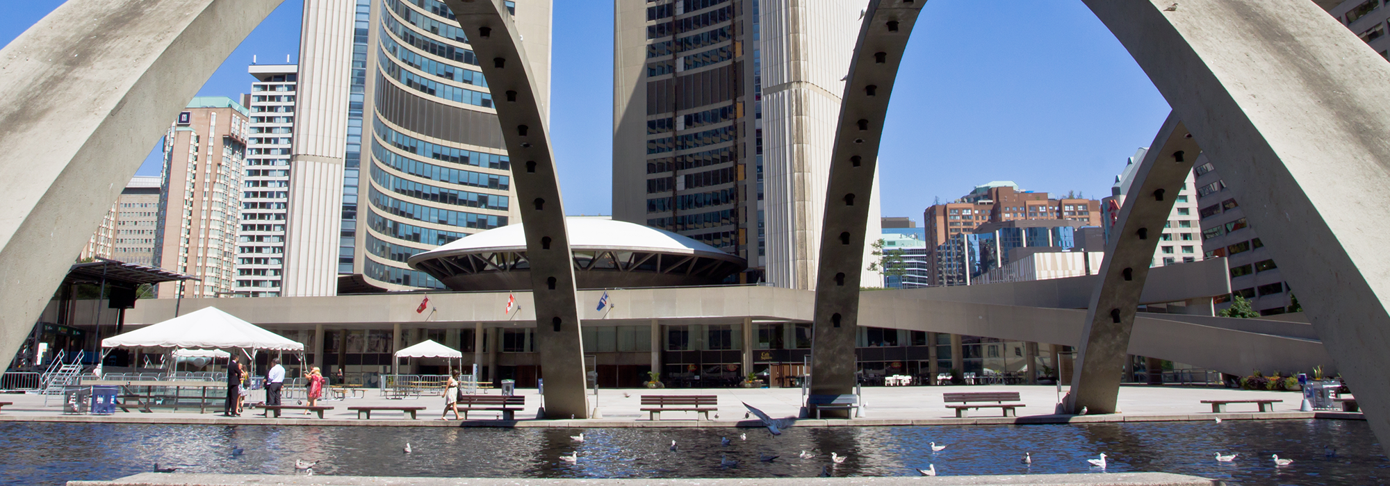 WordPress-Image-toronto