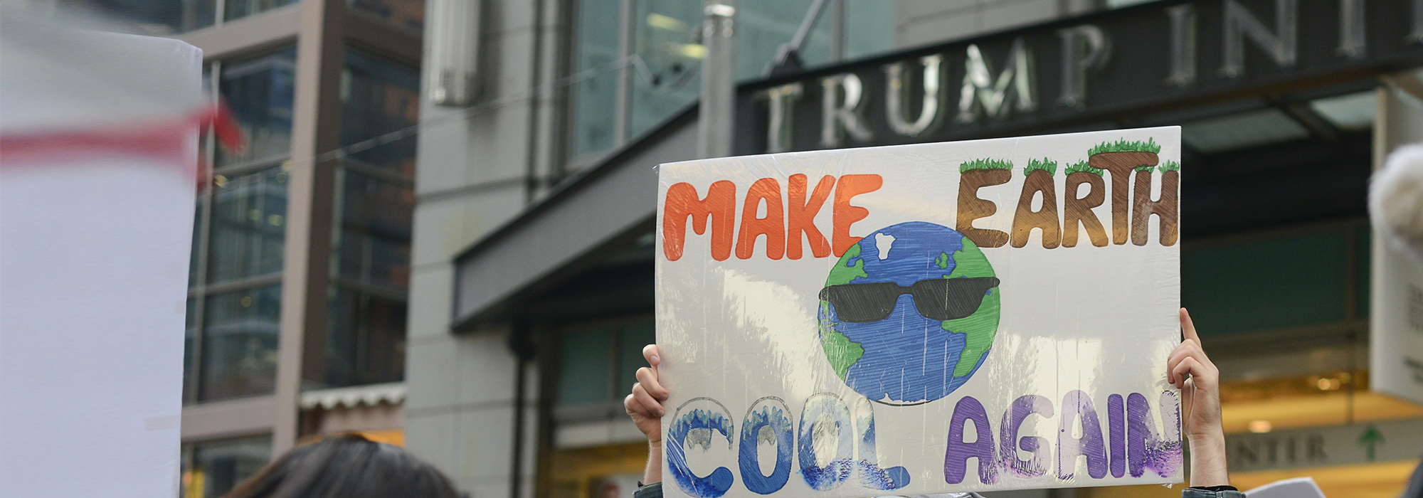 WordPress-Image-trump-protestor-make-earth-2