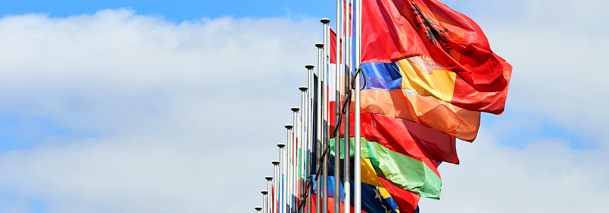 WordPress-Image-world-flags