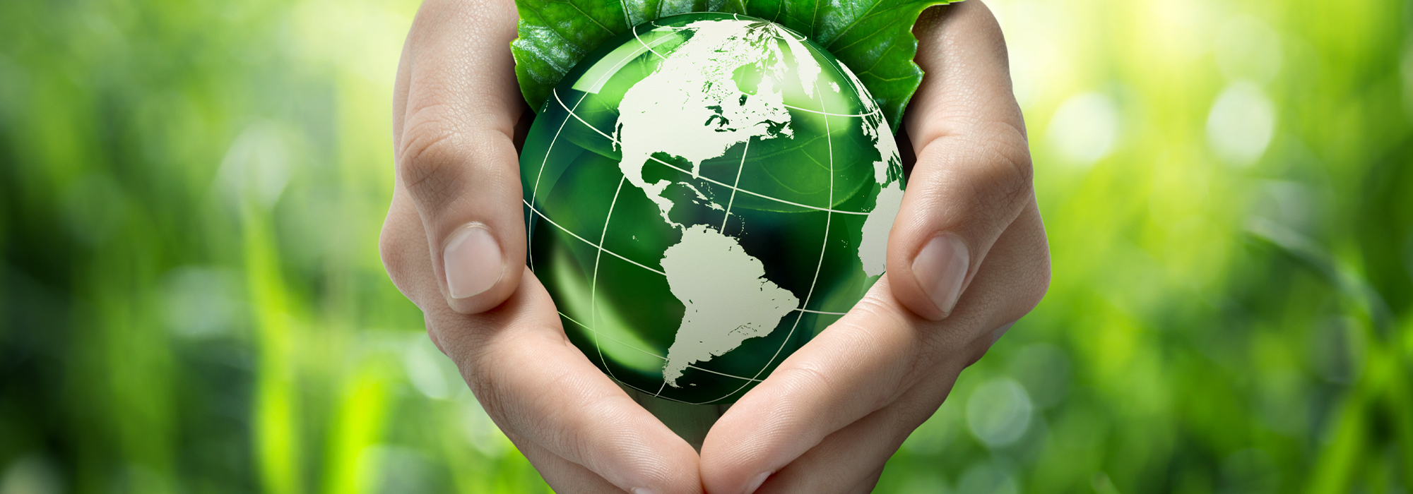 WordPress-Le-budget-doit-comprendre-des-investissements-visant-a-proteger-la-nature