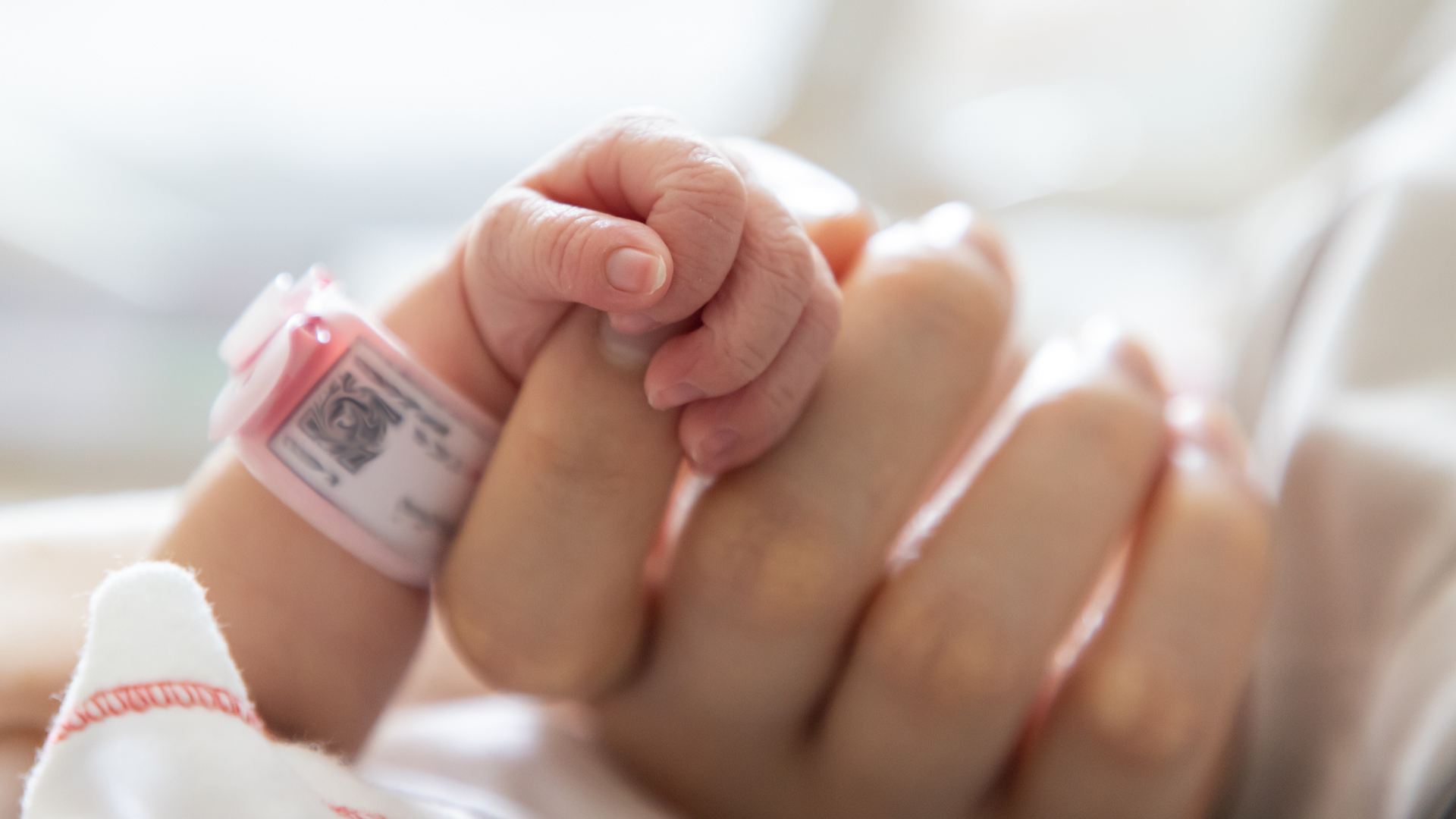 La main d'un nouveau-né, avec un bracelet d'hôpital rose.