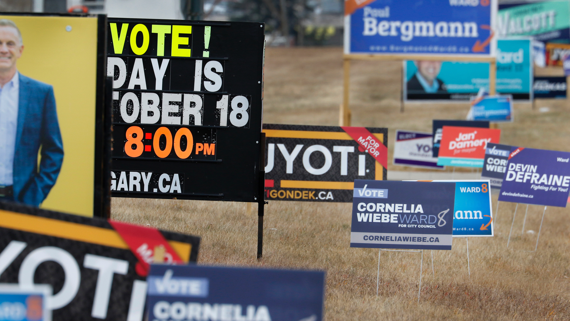 A cluster of signs stand along a roadside, with the names of candidates and information about voting day.