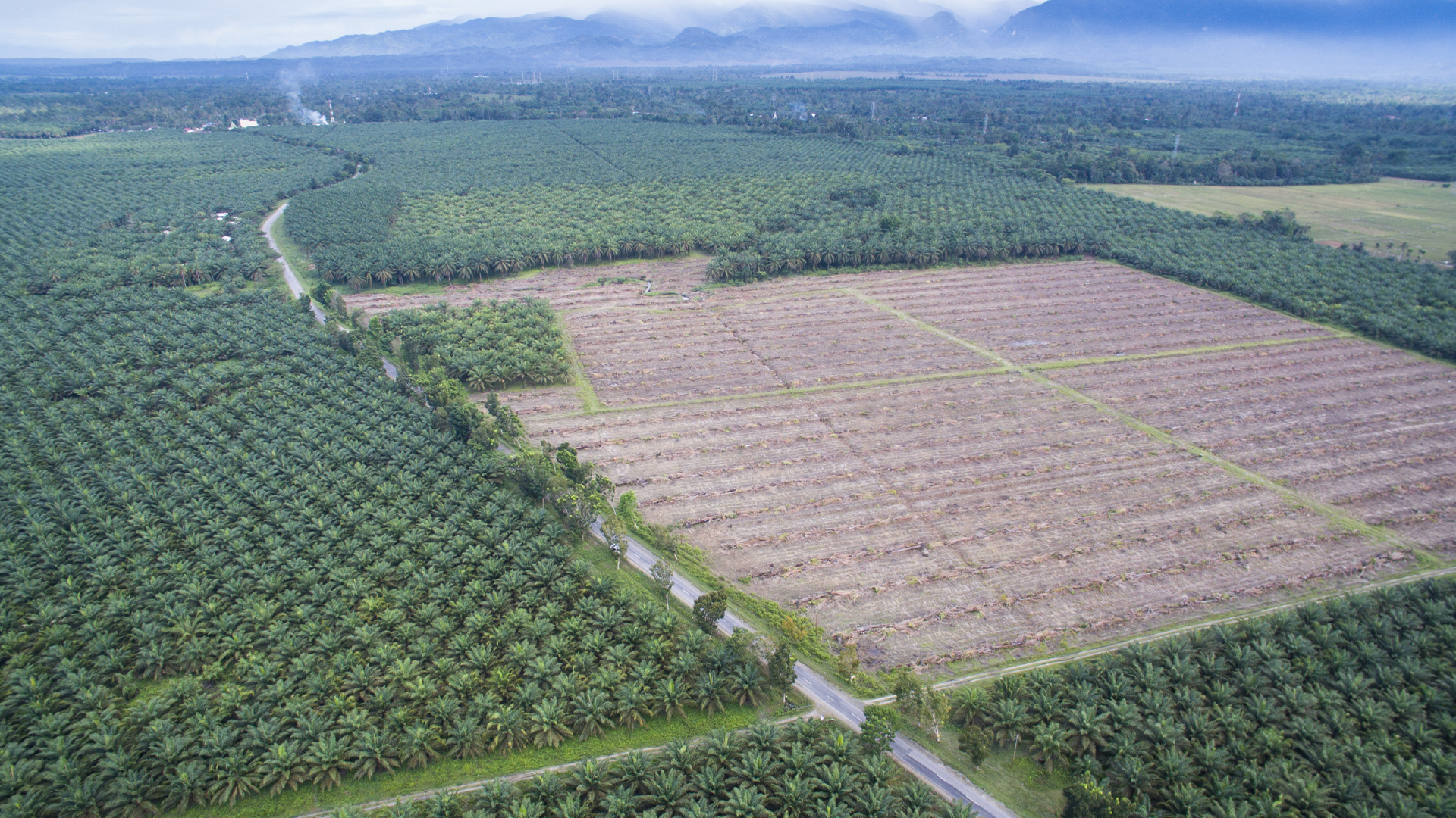 Wordpress-Canada-Indonesia-trade-deal-risks-deepening-global-troubles