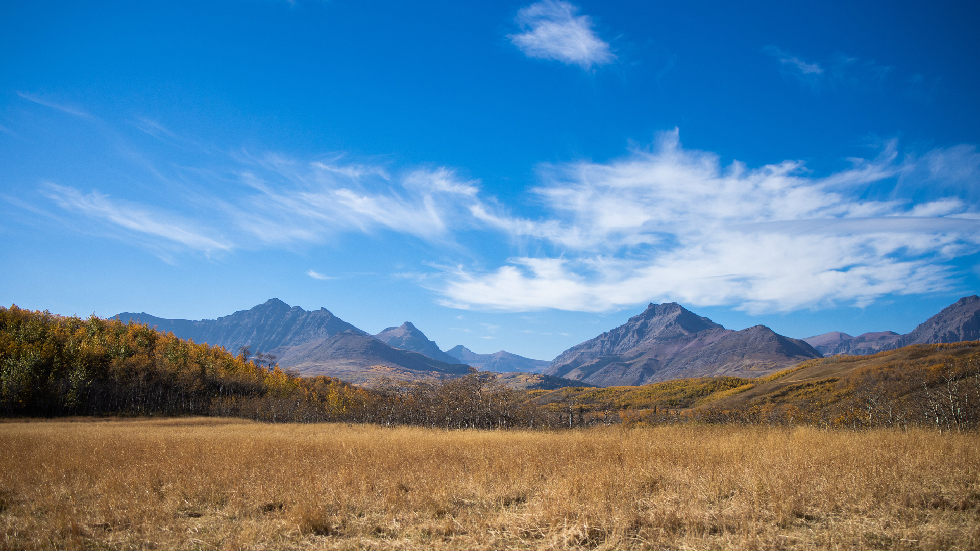 Wordpress-Canada-has-committed-to-protecting-nature.-Are-we-up-to-the-challenge