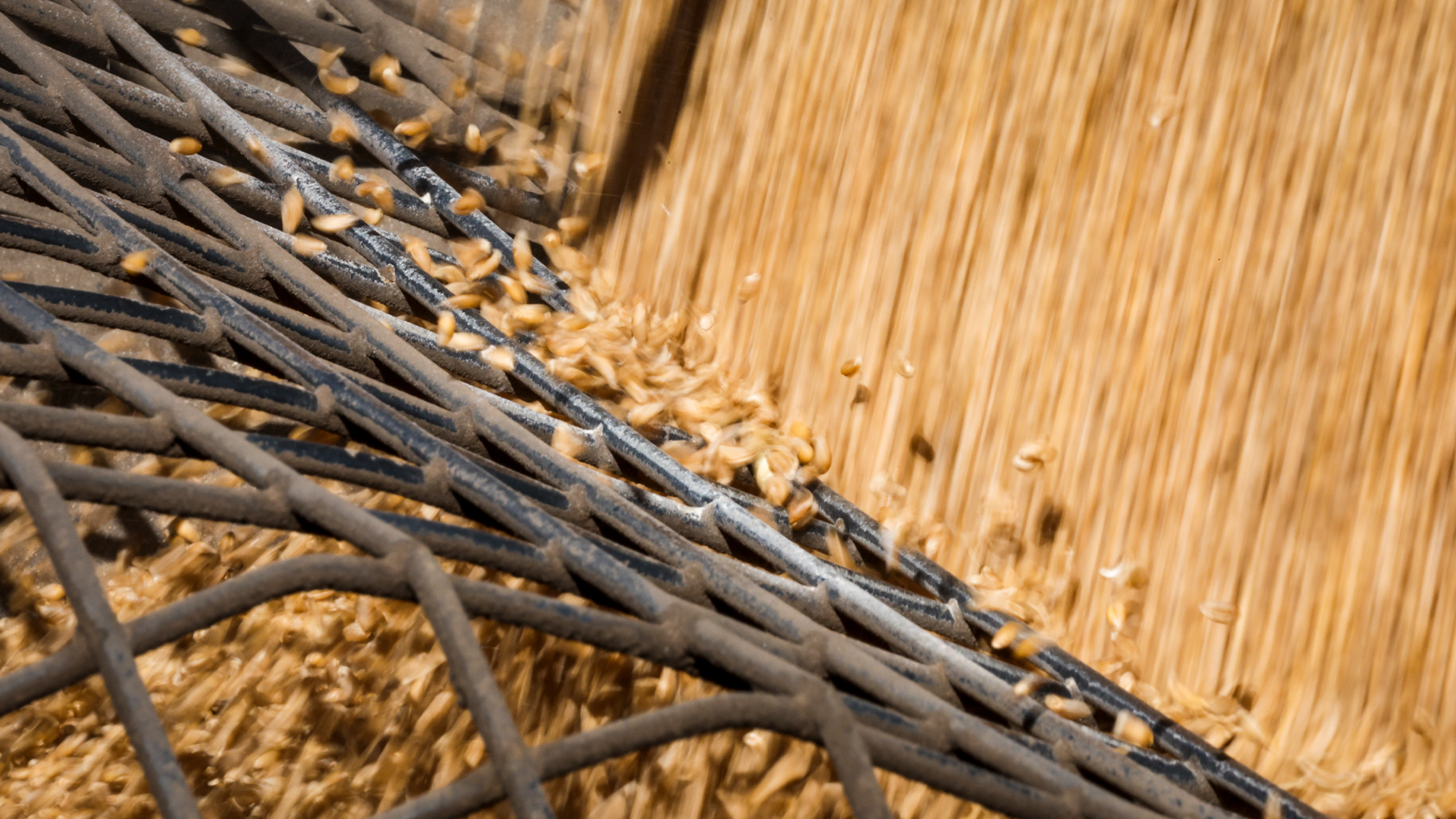 Wordpress-Canada-needs-to-help-farmers-transition-to-low-carbon-practices