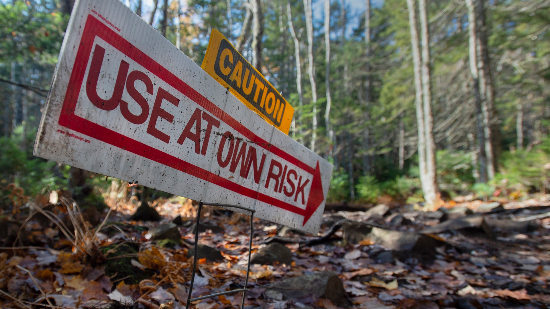 Wordpress-Canadians-rights-to-property-needs-additional-protection