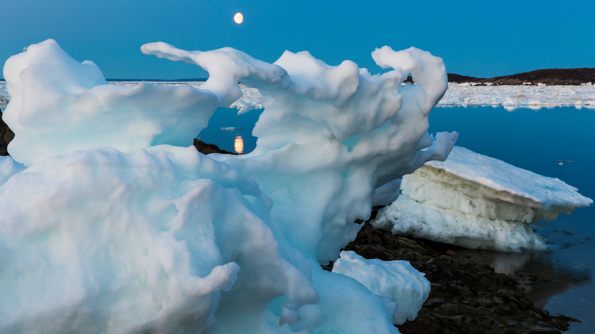 Wordpress-Climate-change-north