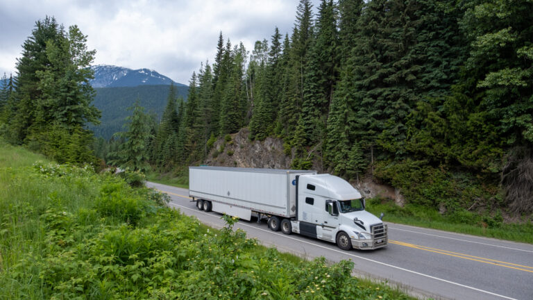 A white semi-truck passes through a forest of evergreens on a two-lane stretch.