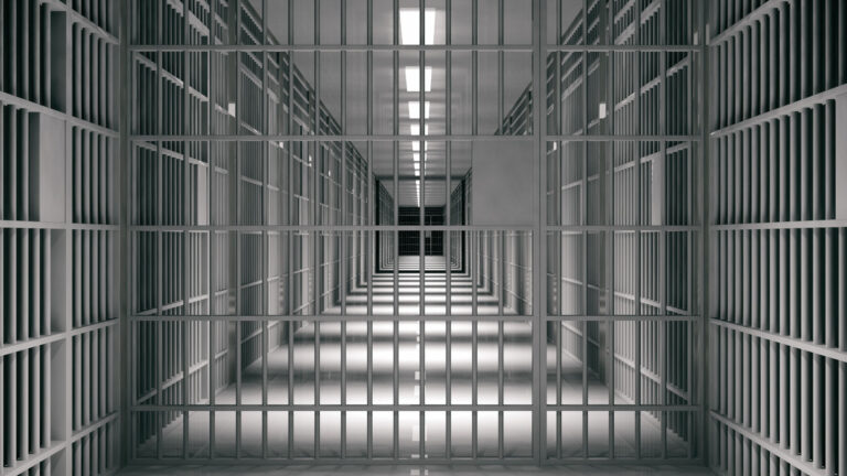 The crime control model using prison as the key tool to fight crime is deficient.