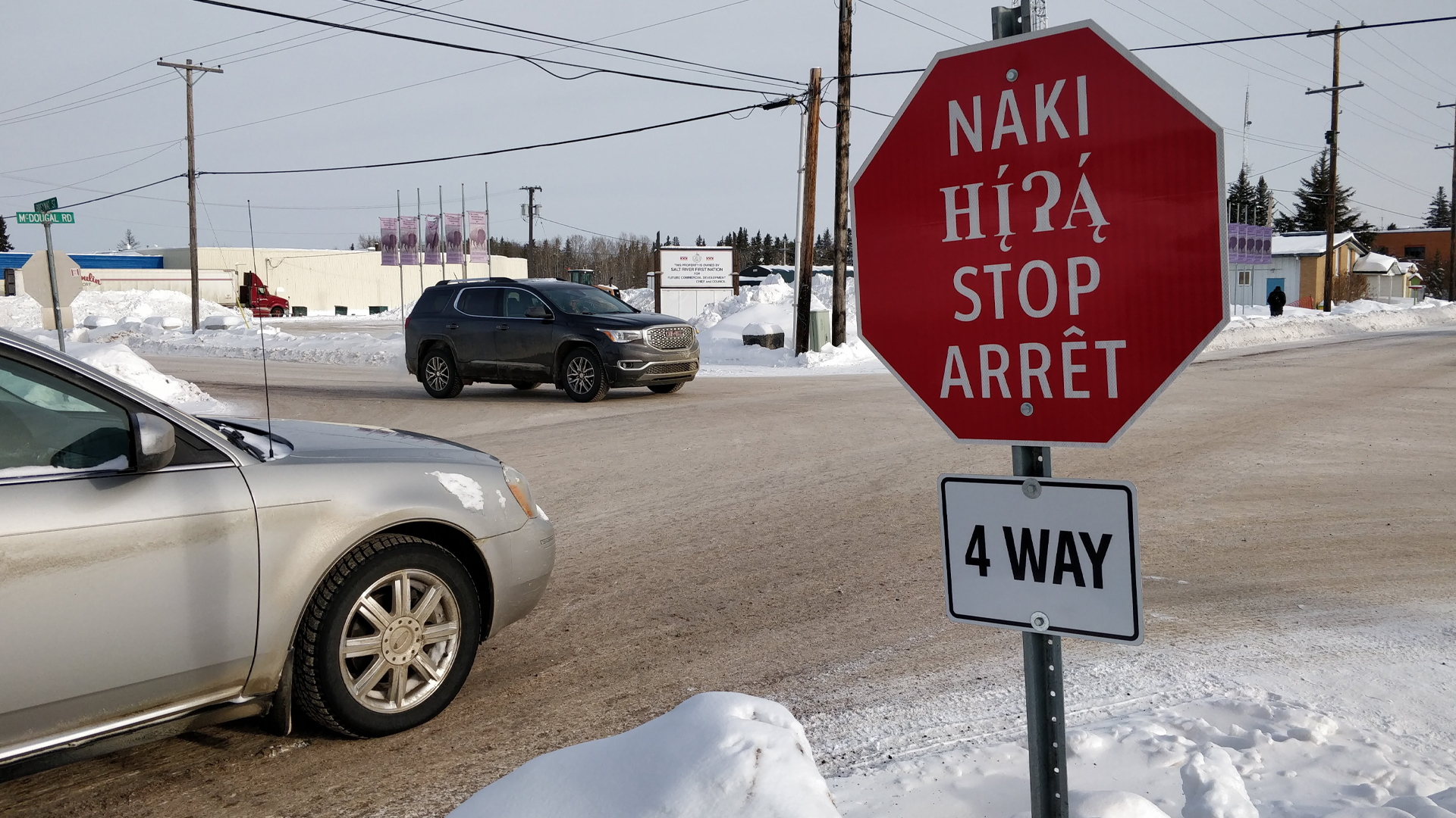 Wordpress-How-to-realistically-elevate-the-status-of-Indigenous-languages