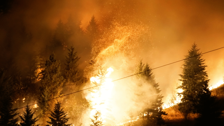 Fire blazes brightly on a tree-covered hill at night.