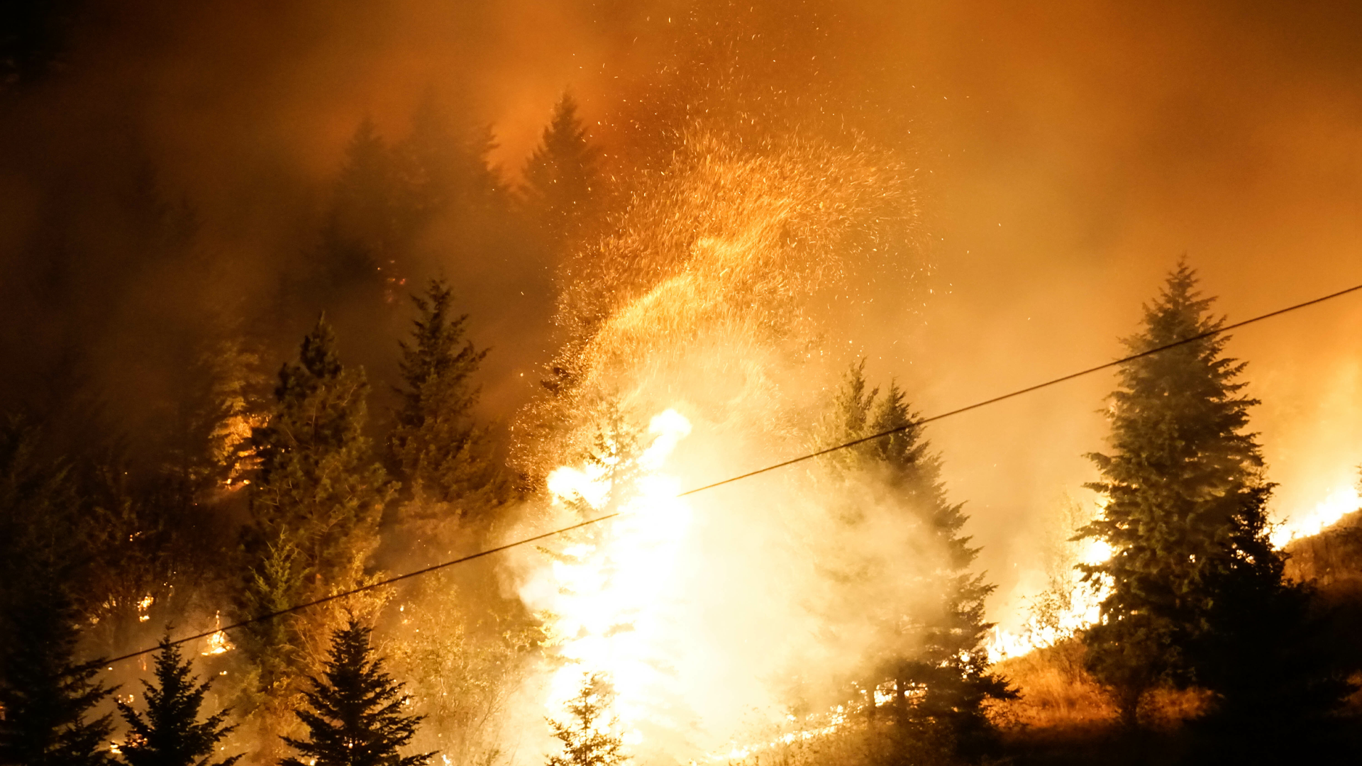 Fire blazes brightly on a tree-covered hill at night.