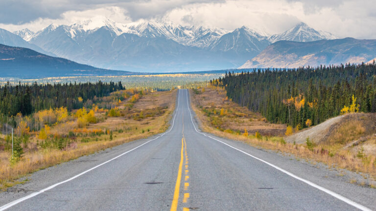 A two-lane highway leads down a hill toward a flat area surrounded by snow-peaked mountains. In the foreground is covered in dense patches of evergreens. Alongside the road is yellowing brush.