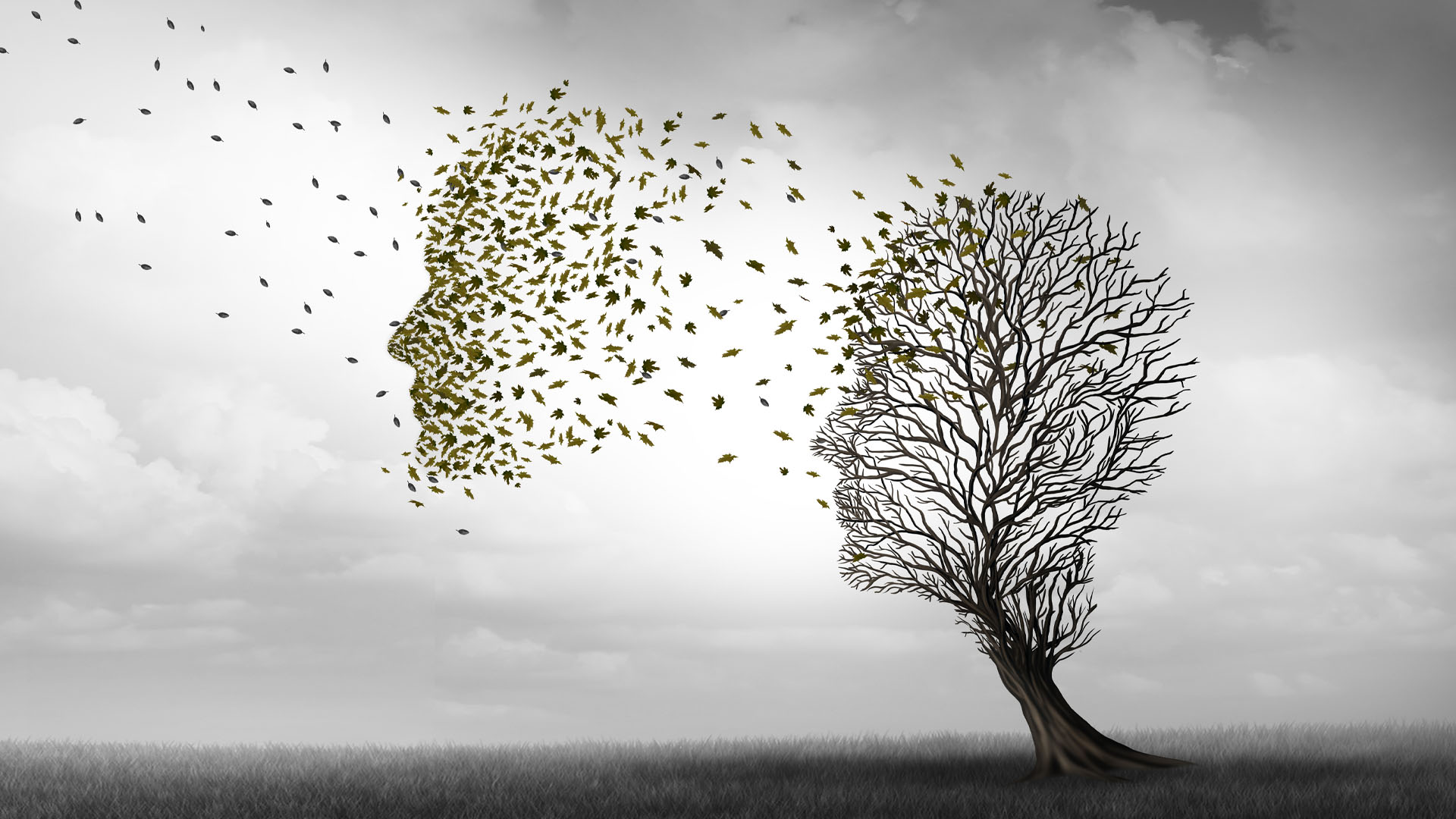 Wordpress-Missing-the-mark-on-a-profound-social-change-with-MAiD-for-mental-illness