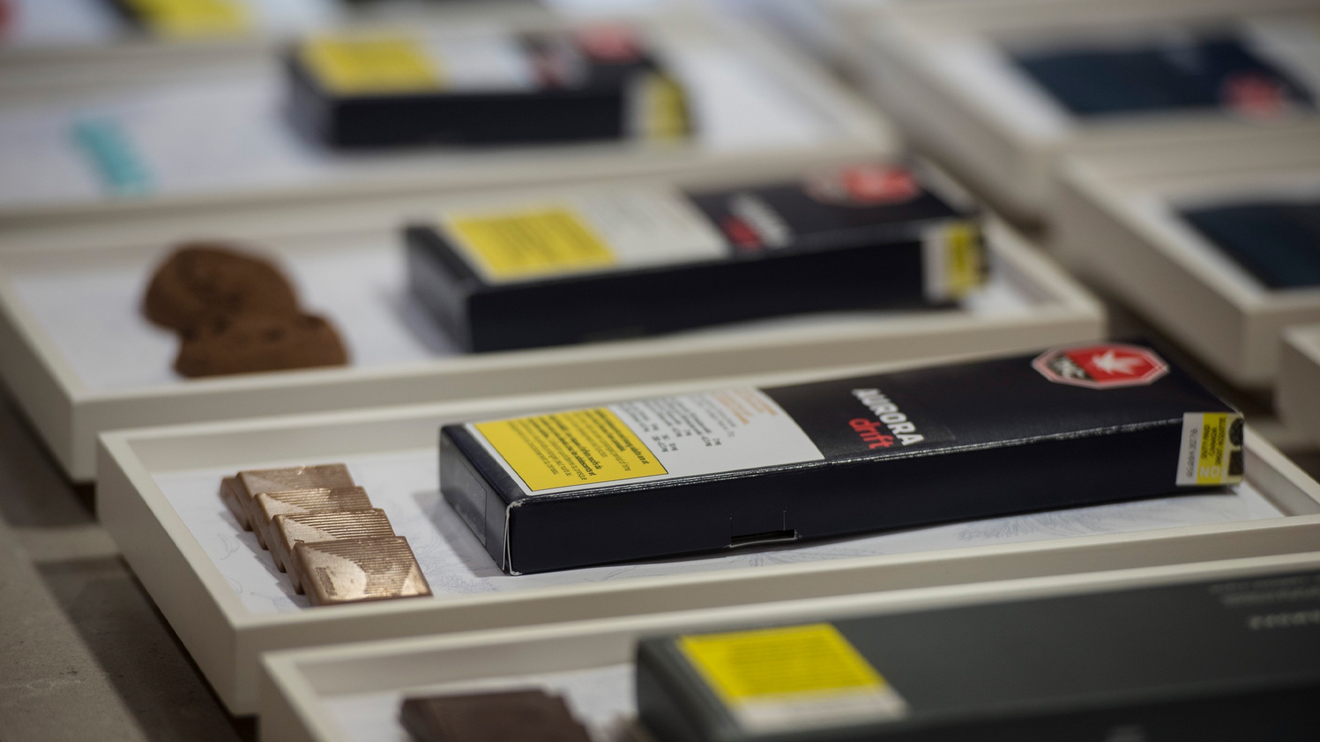 Wordpress-Ontario-Cannabis-Store-earned-234-million-but-taxpayers-got-nothing