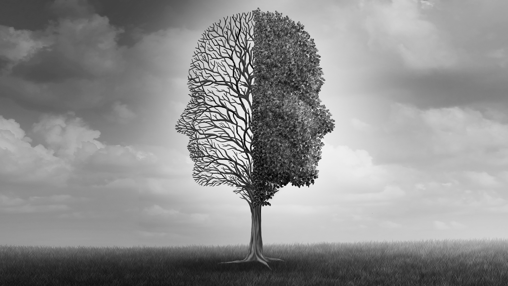 Une illustration abstraite en noir et blanc.