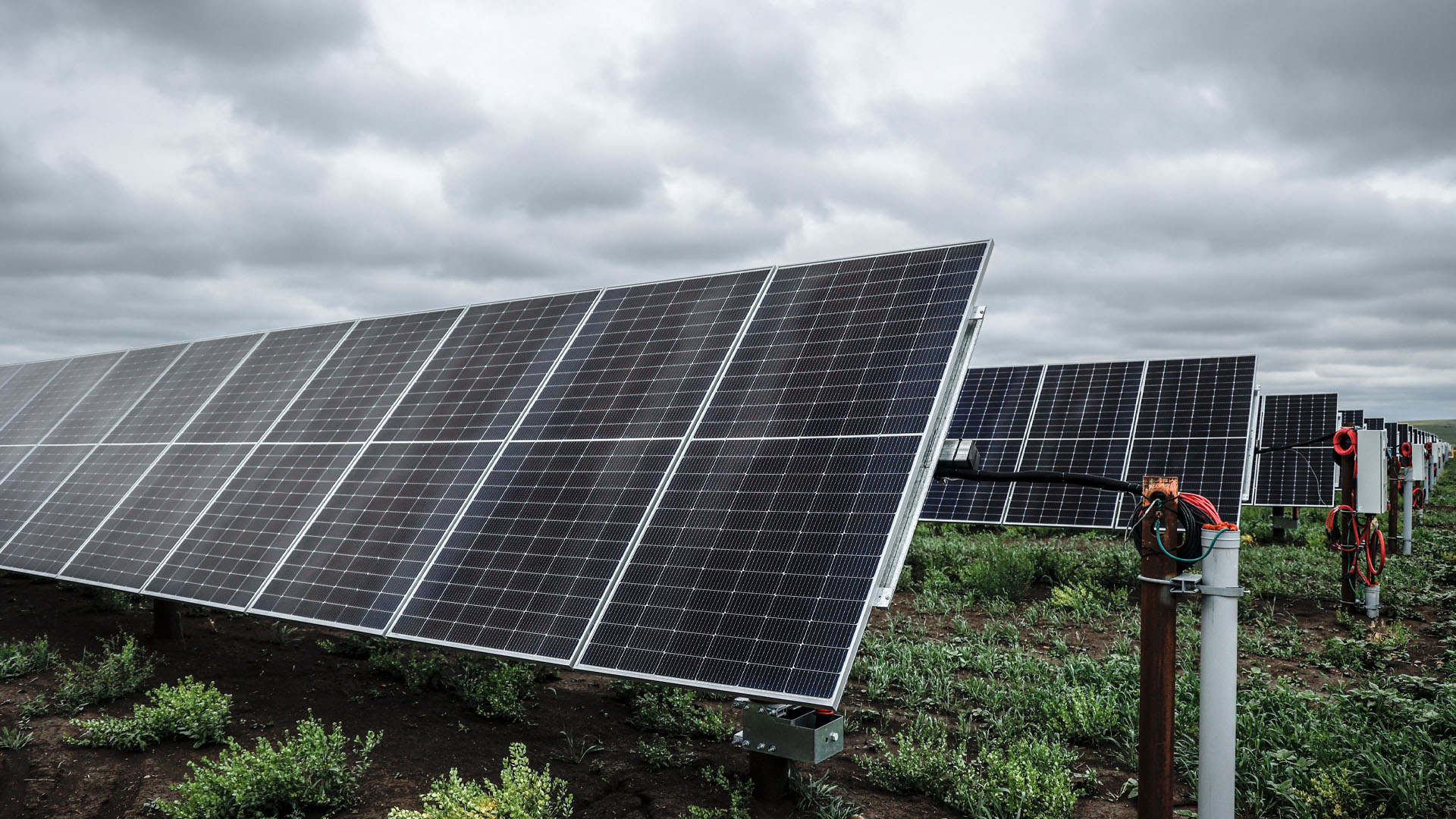 Solar panels planted in a field against a grey sky.