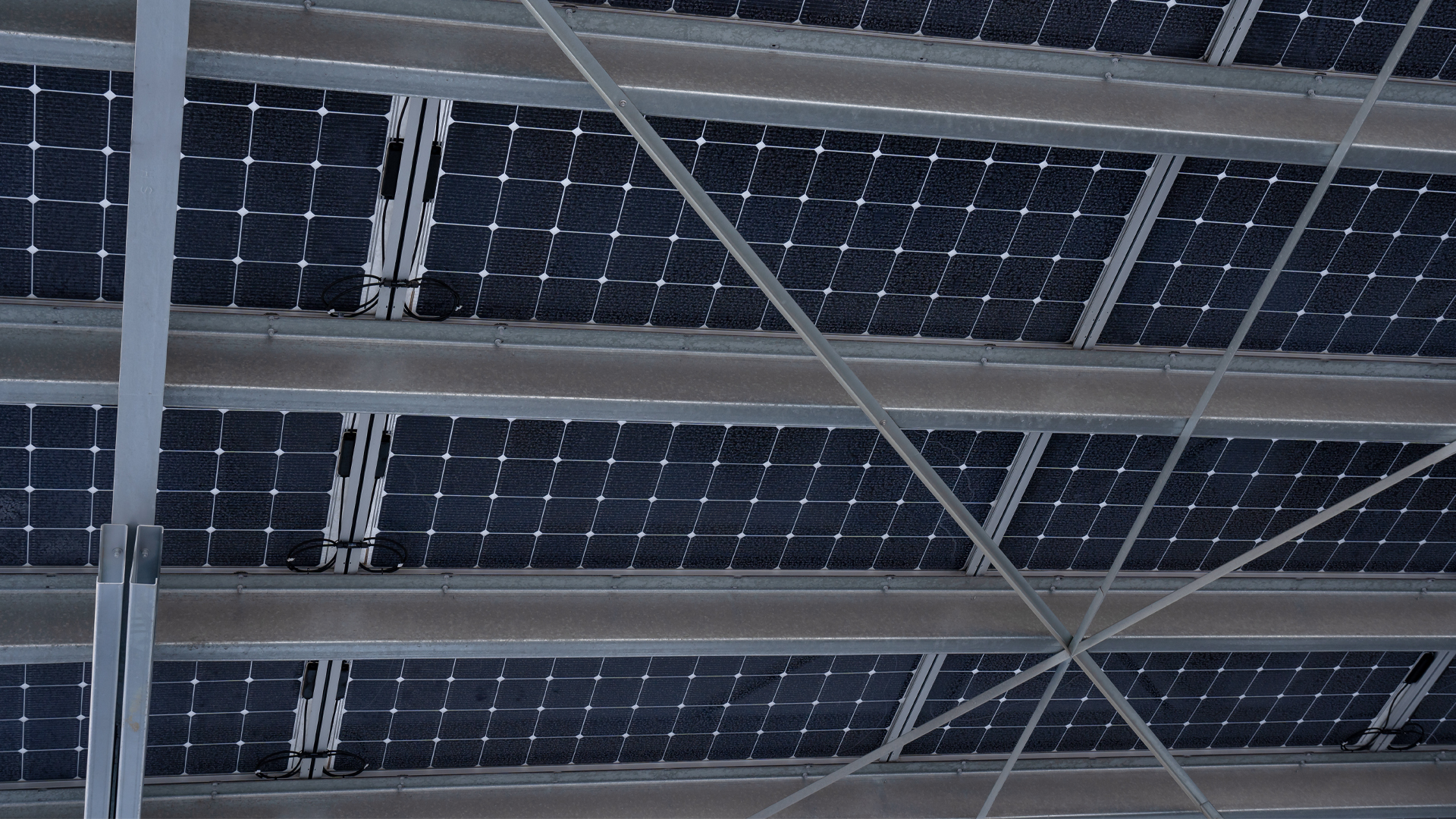 Wordpress-Scale-up-renewable-energy-co-operatives-to-energize-the-nation