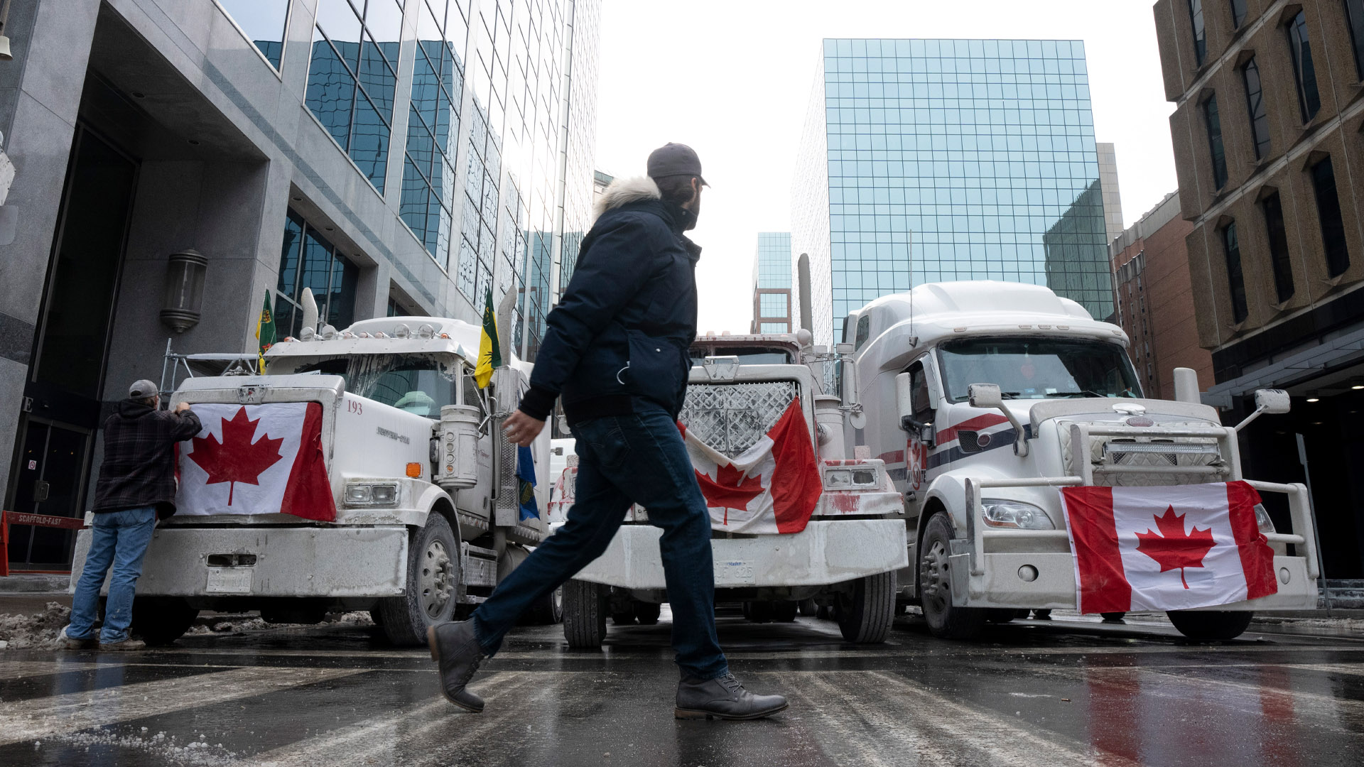 Wordpress-So-called-Freedom-Convoy-is-a-symptom-of-a-deeply-unequal-society