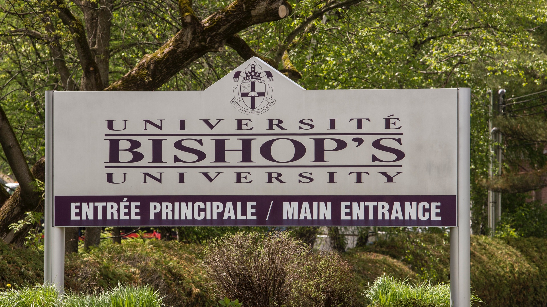 Wordpress-The-end-of-the-Quebec-model-in-higher-education