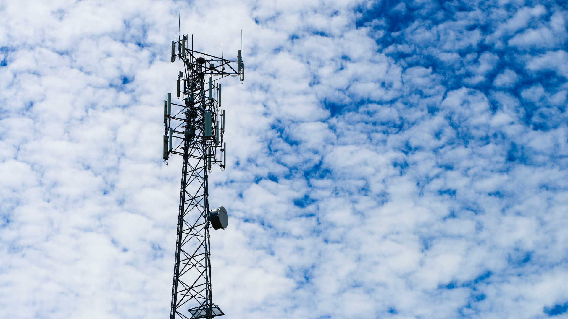 A cell tower is pictured in rural Ontario on Wednesday, July 15, 2020. Amid much fanfare, Canada's Big 3 telecom companies introduced fifth-generation networks in major cities earlier this year and a few smartphones with 5G capabilities are now available for sale.Yet after years of promises about next-generation wireless powering self-driving cars and robotic surgery, it's still unclear exactly what the newly launched networks are currently able to do.THE CANADIAN PRESS/Sean Kilpatrick