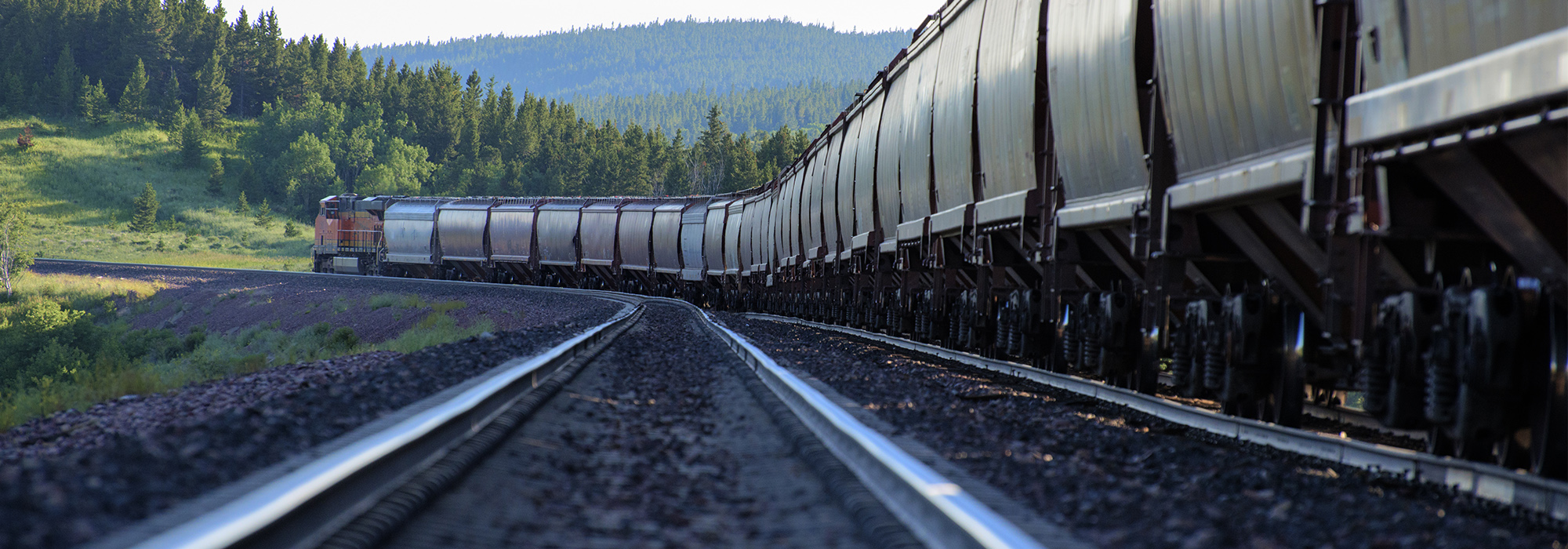 Wp-train