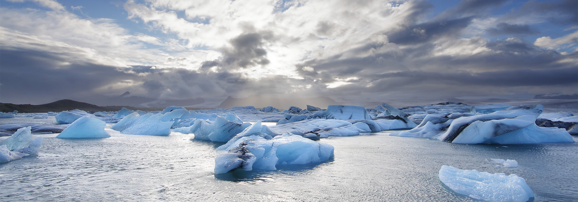 arcticice