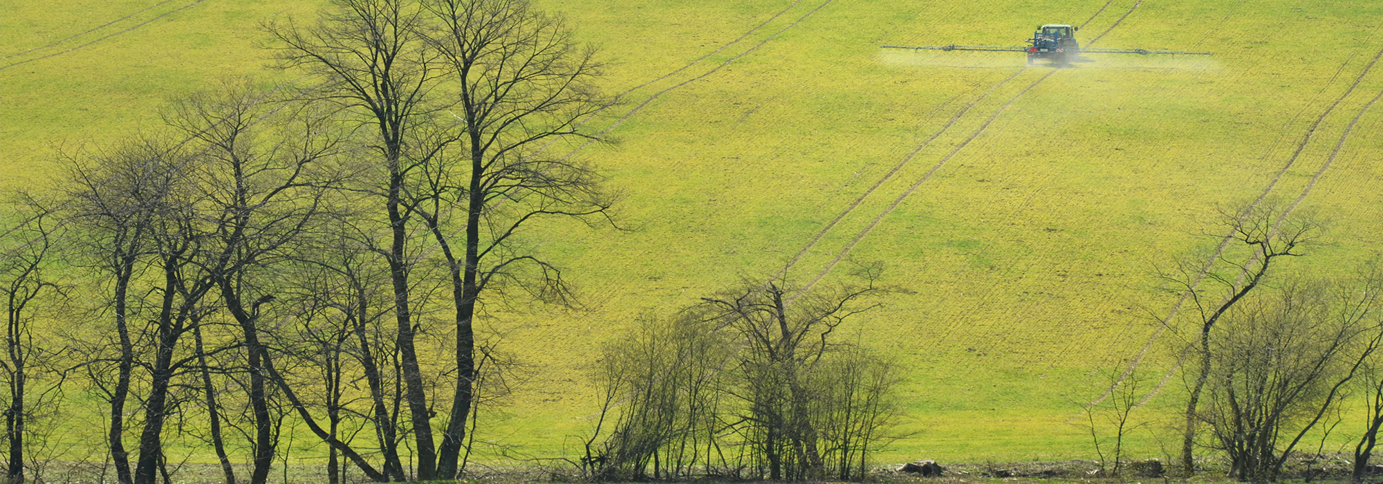 bachand-1