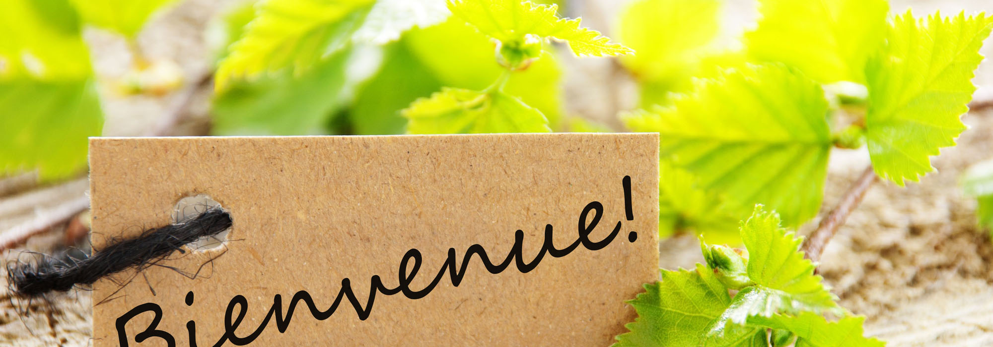 bienvenue-2