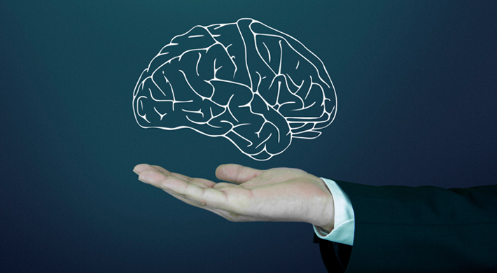 brain