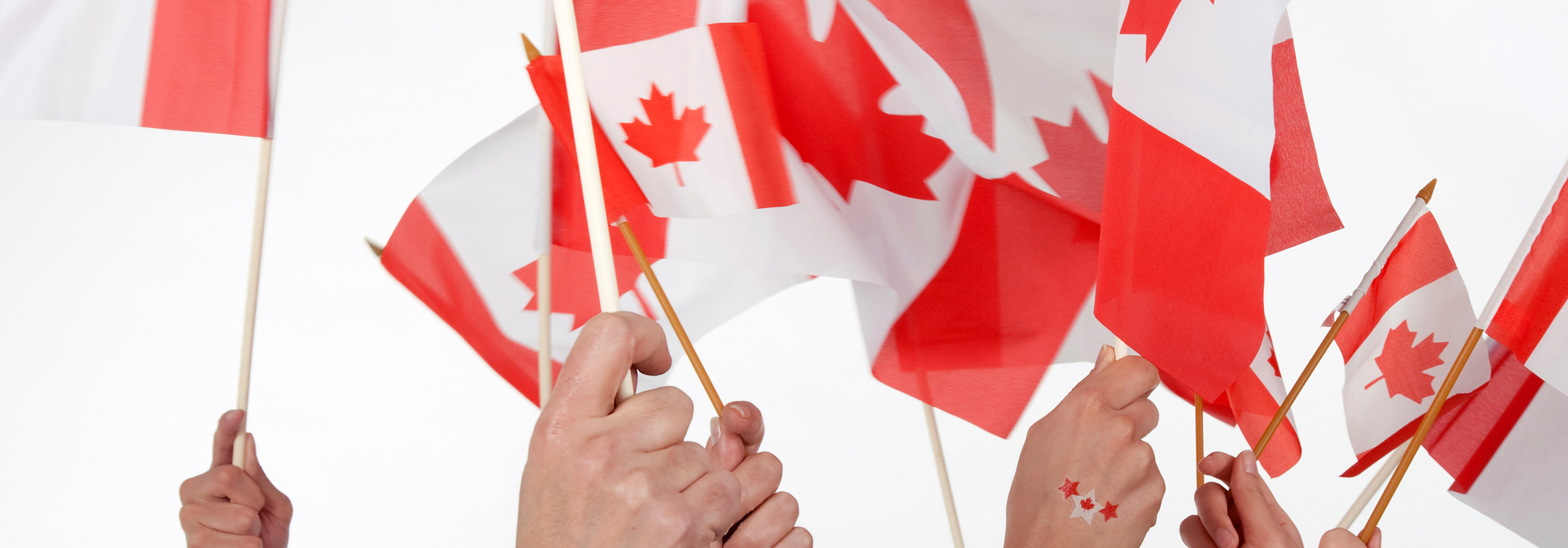canadian-flags