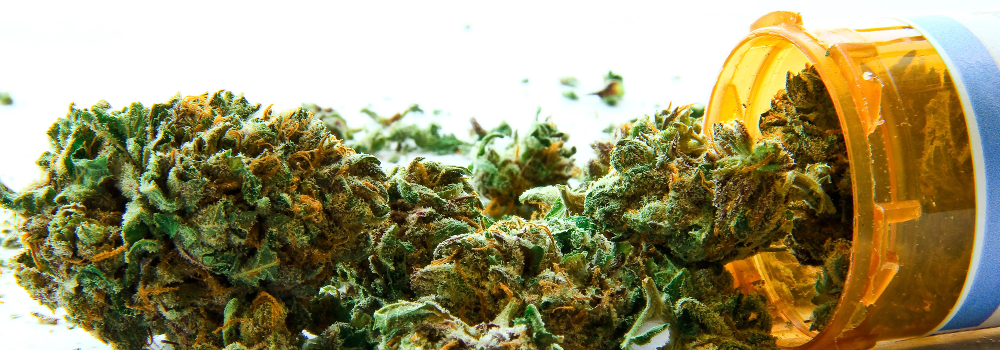 cannabis2