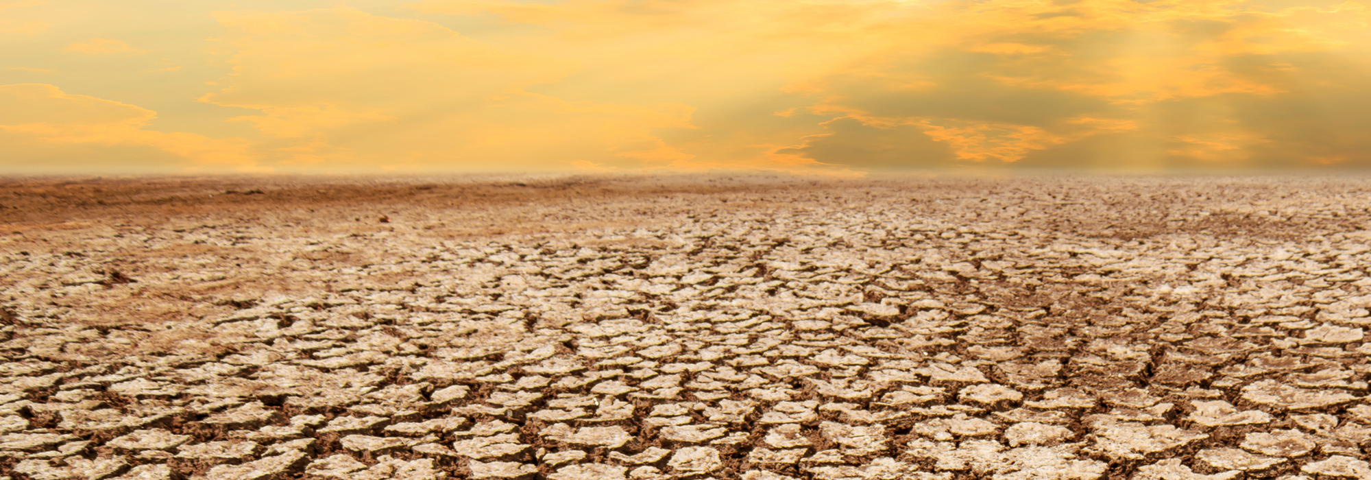 climate-change