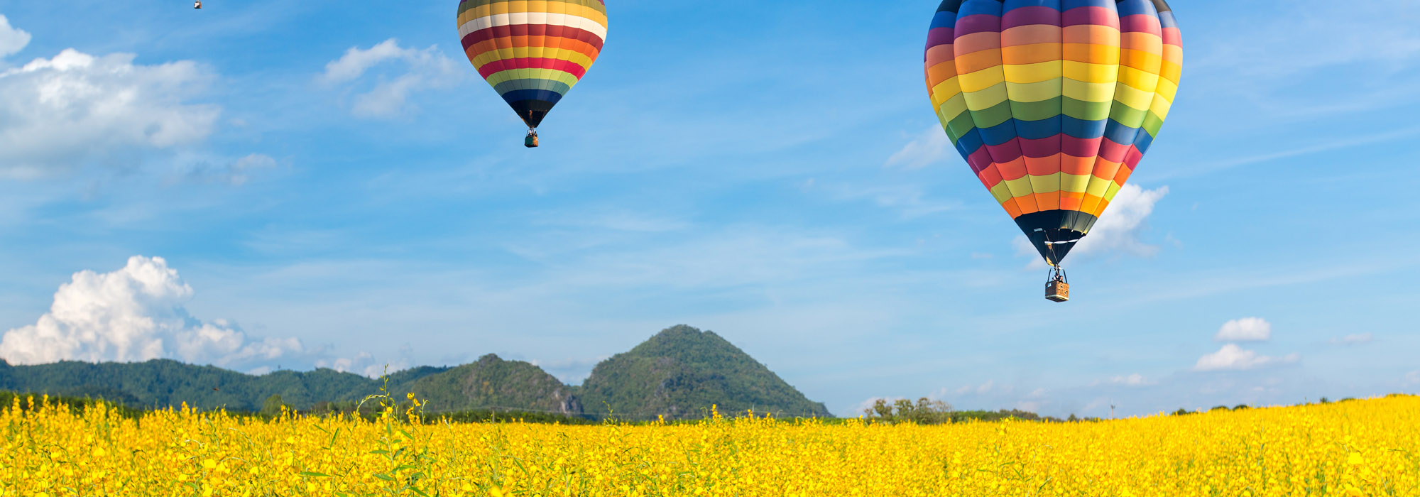 hot-air-balloon-over-yellow