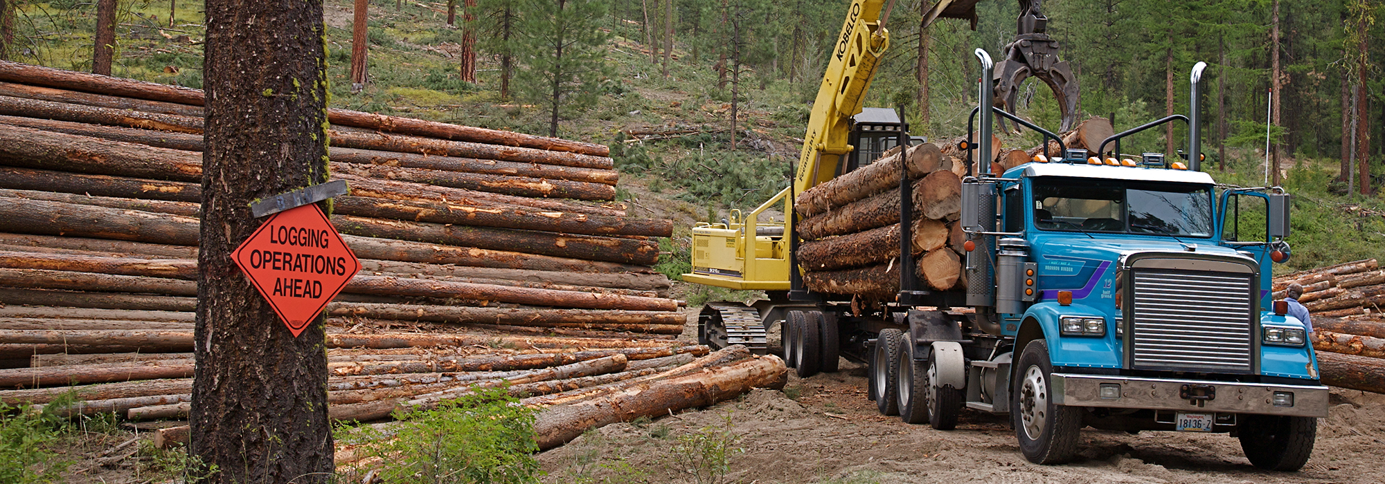 logging2