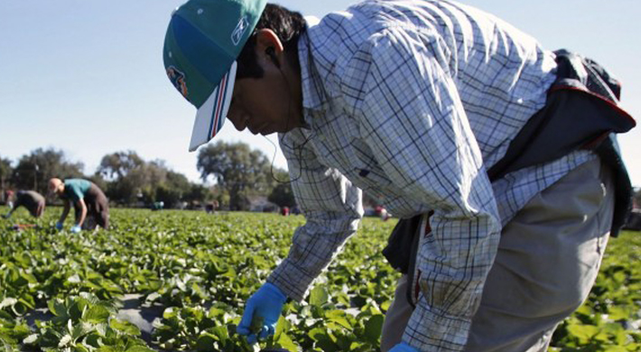migrant-worker1
