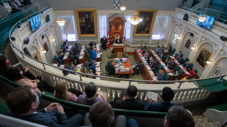 A view of a sitting of the legislature from the public gallery.