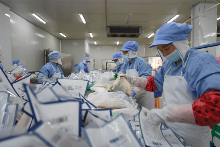 Half a dozen workers in protective clothing put pieces of frozen fish into square white plastic pouches.