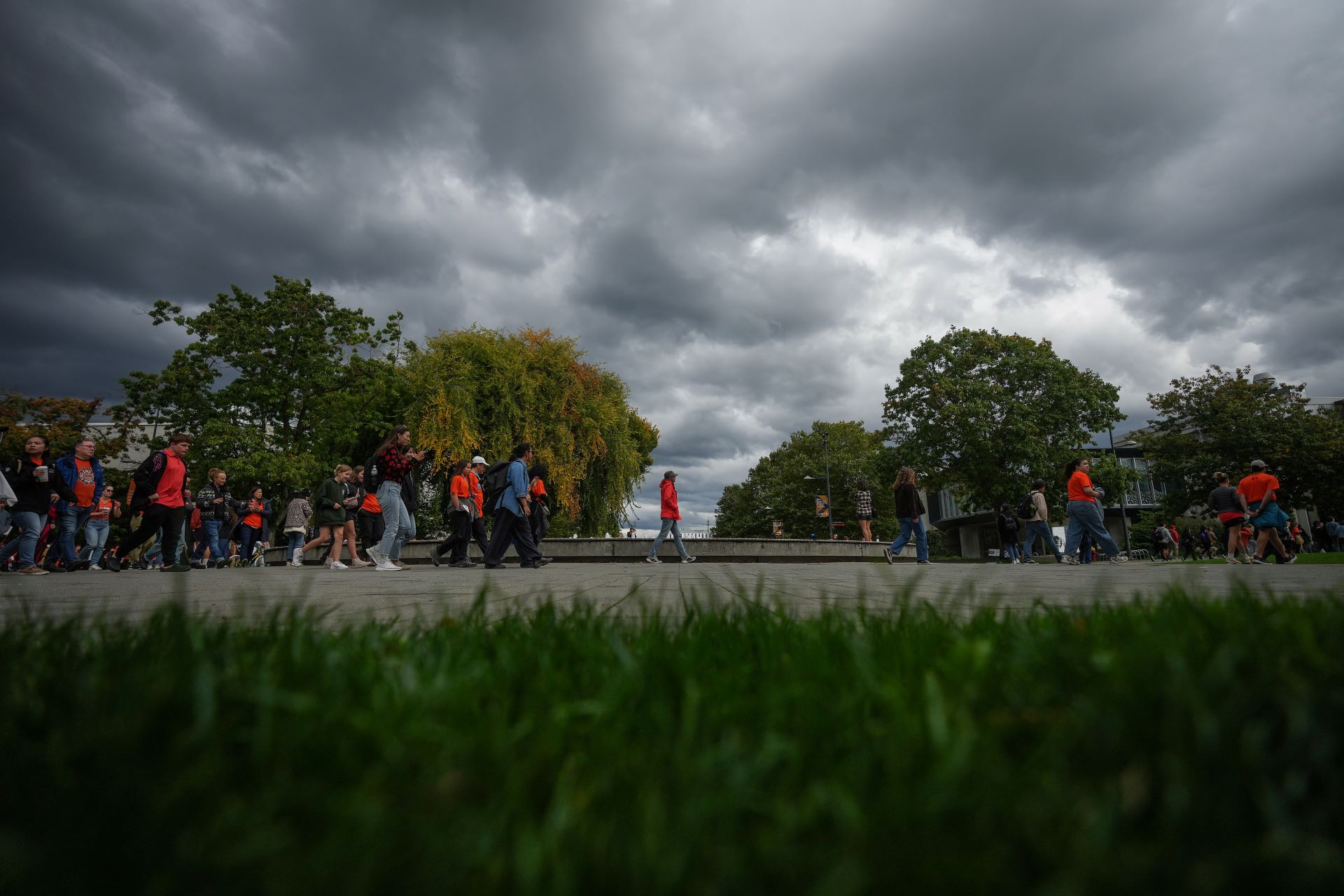 A sparse line of people walk along, passing through an area with trees. The sky is full of low cloud cover, some of it very dark.