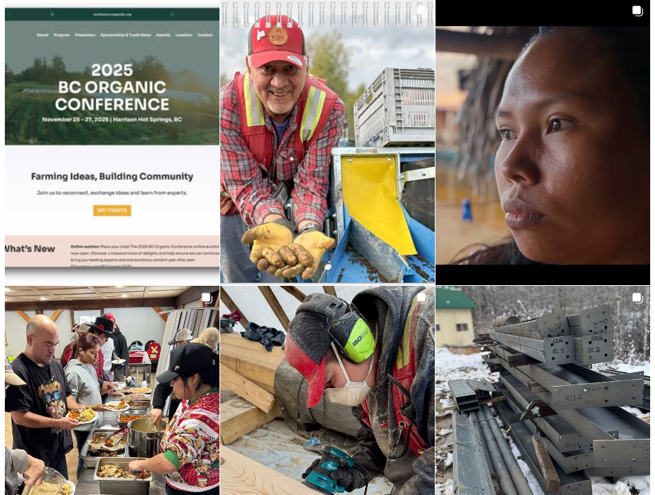 A grid of six photos showing activities at Tea Creek: a man holding newly harvested potatoes, a meal being served from a long table, a man working with long pieces of wood. 