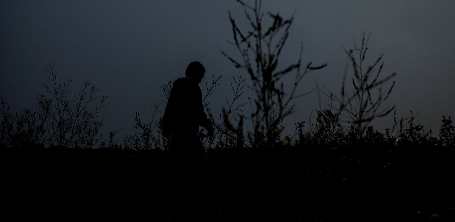A seven-year-old transgender boy is photographed amid some trees in dark silhouette.