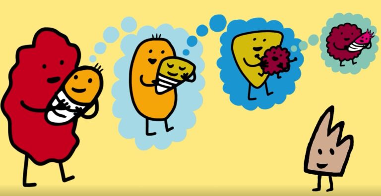 Multiple generations of little multi-coloured animated blobs.