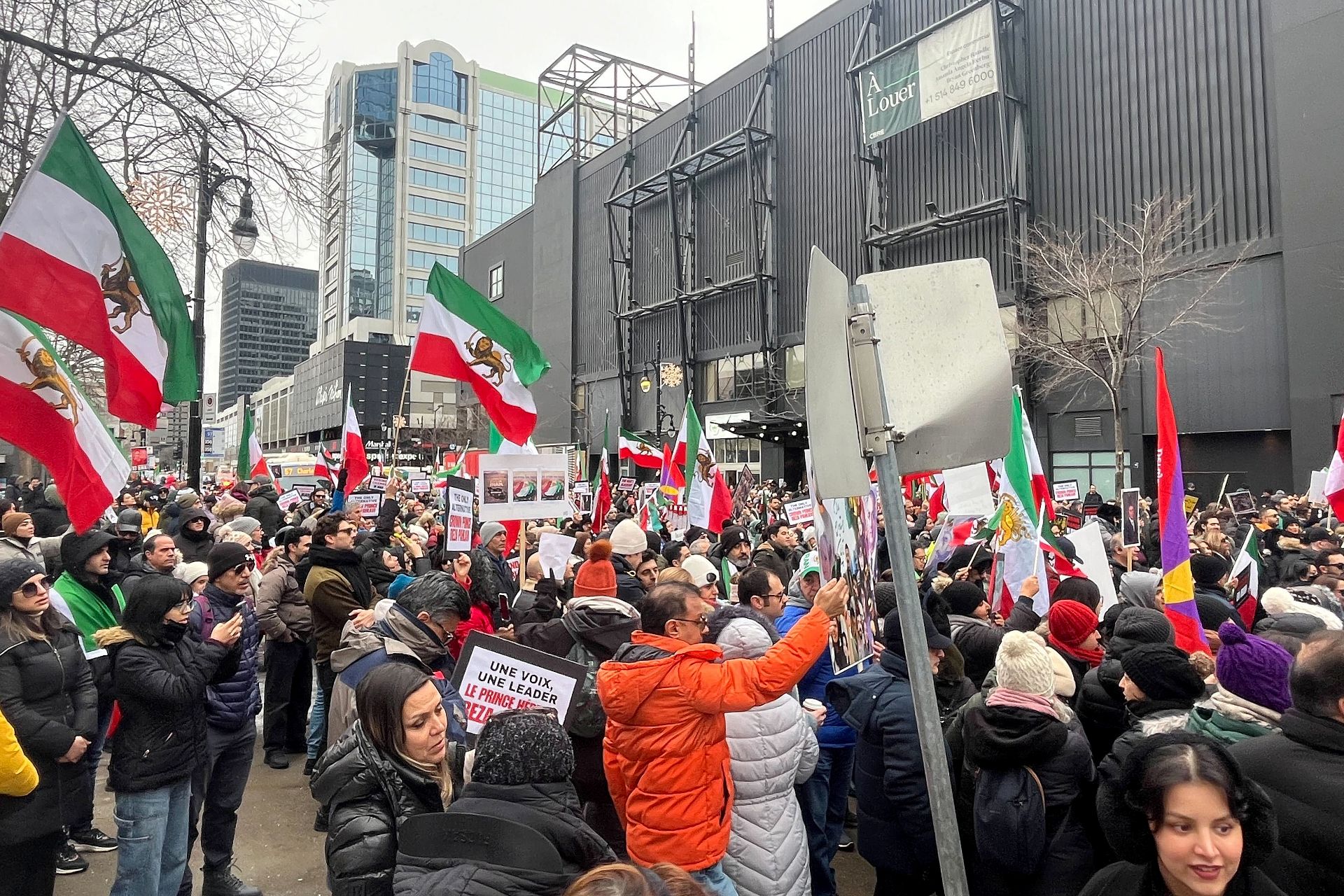 A large crowd waving flags on a downtown Montreal street.