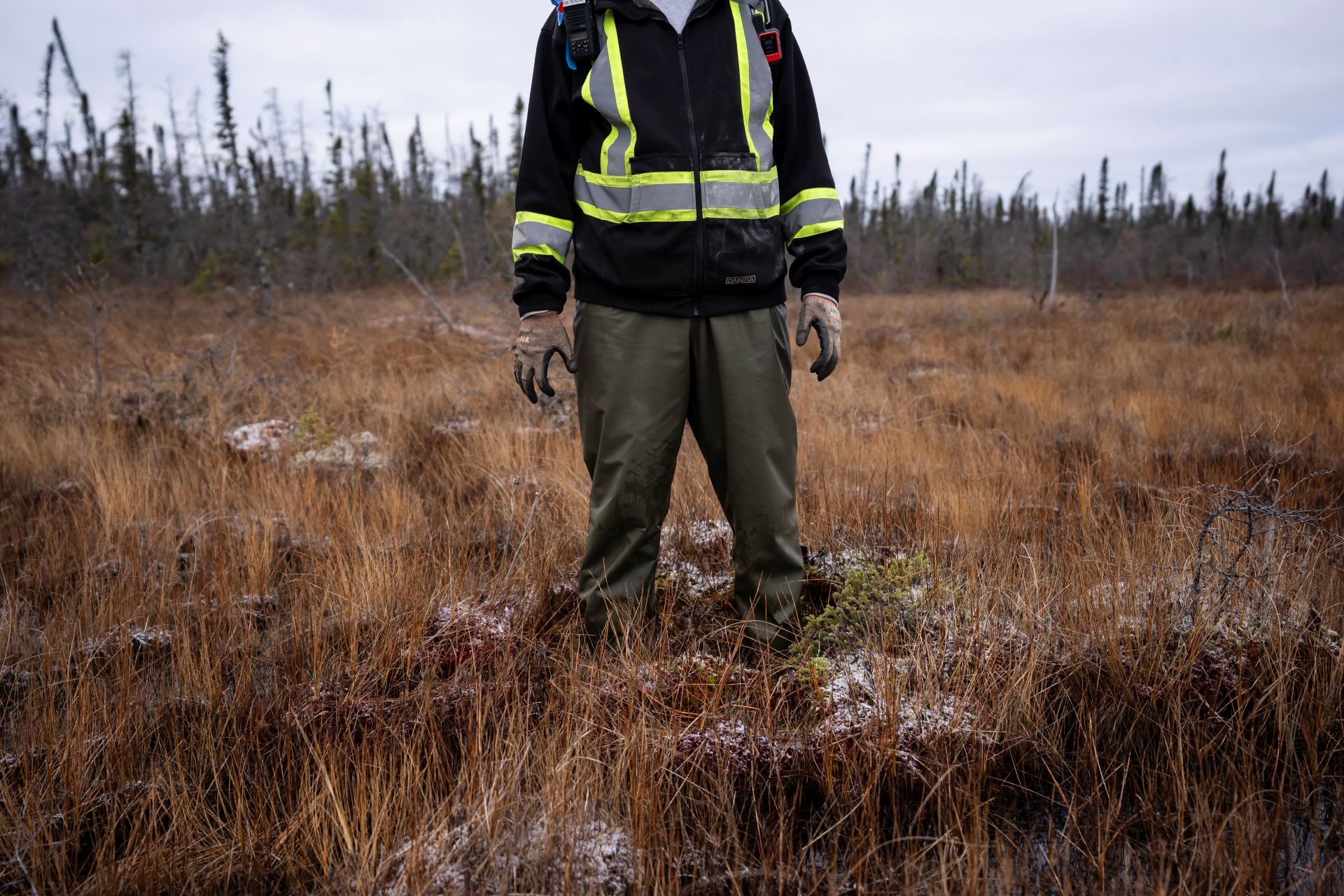 The man stands knee-deep in a clearing with tall grasses and an evergreen forest in the distance.