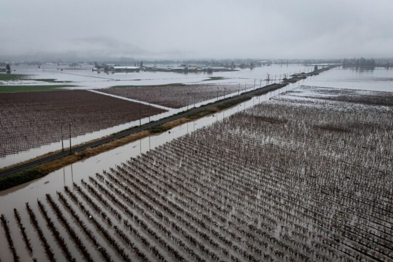 Rows of agricultural fields are partly submerged.