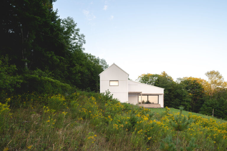 White house in the background on a sloping lot covered with green grass and yellow flowers.