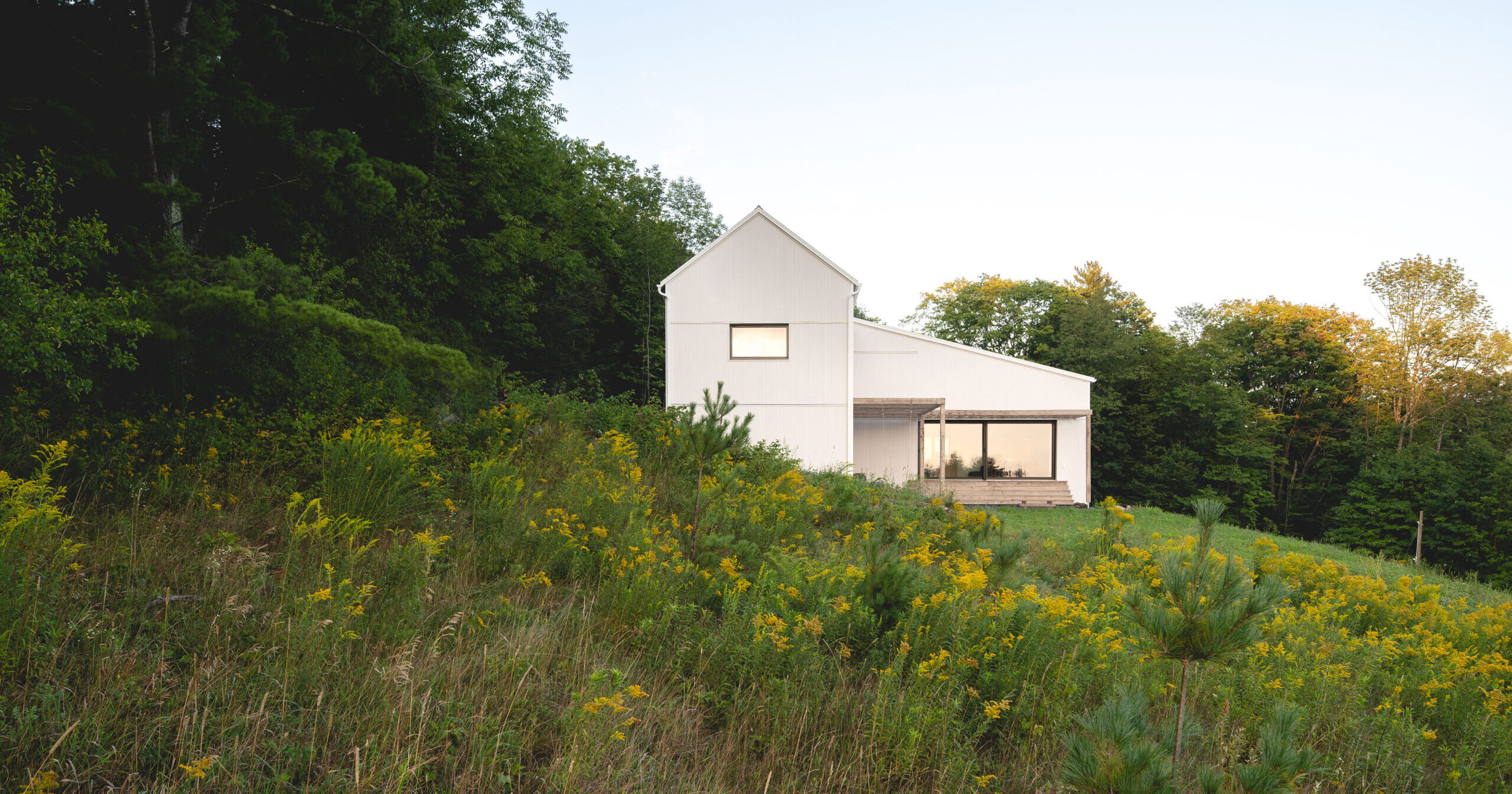 Maison blanche à l’arrière-plan sur un terrain en pente recouvert d’un gazon vert et de fleurs jaunes.