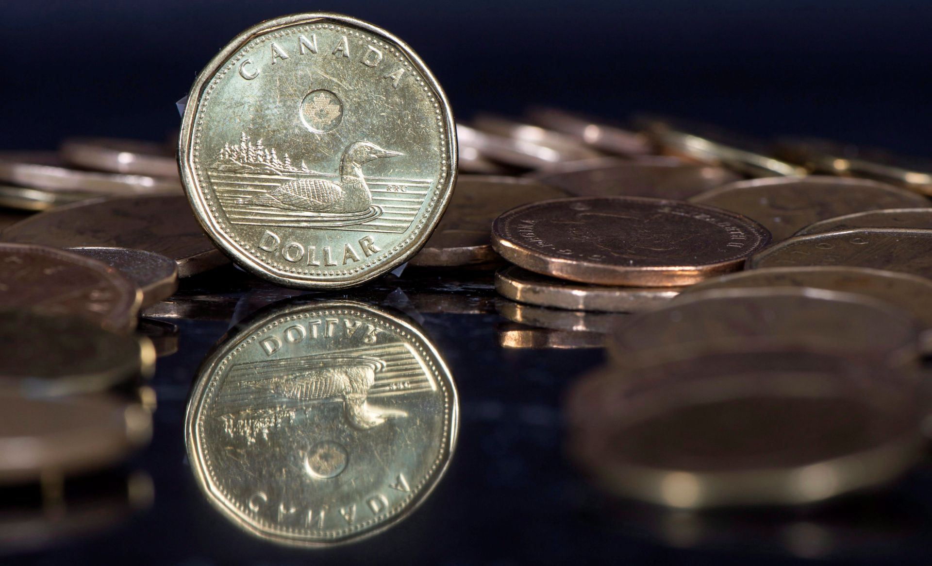 A dollar coin is photographed close-up standing on edge on a glass table with it’s reflection below. Other dollar coins surround it, laying down.