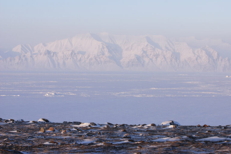 An ice-packed inlet with snow-covered mountains in the background.