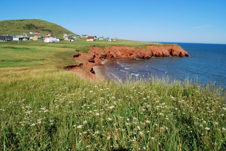 Village de pêcheurs et des falaises en grès. À l’avant plan, des fleurs sauvages.
